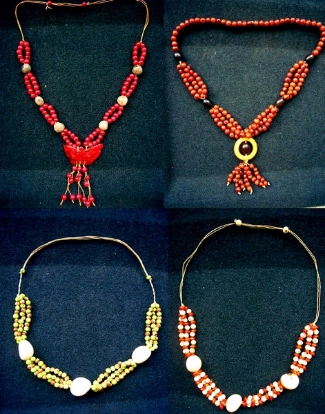 Colliers organique d`AMAZONIE